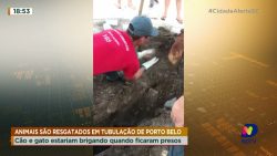 animais-sao-resgatados-em-tubulacao-de-porto-belo